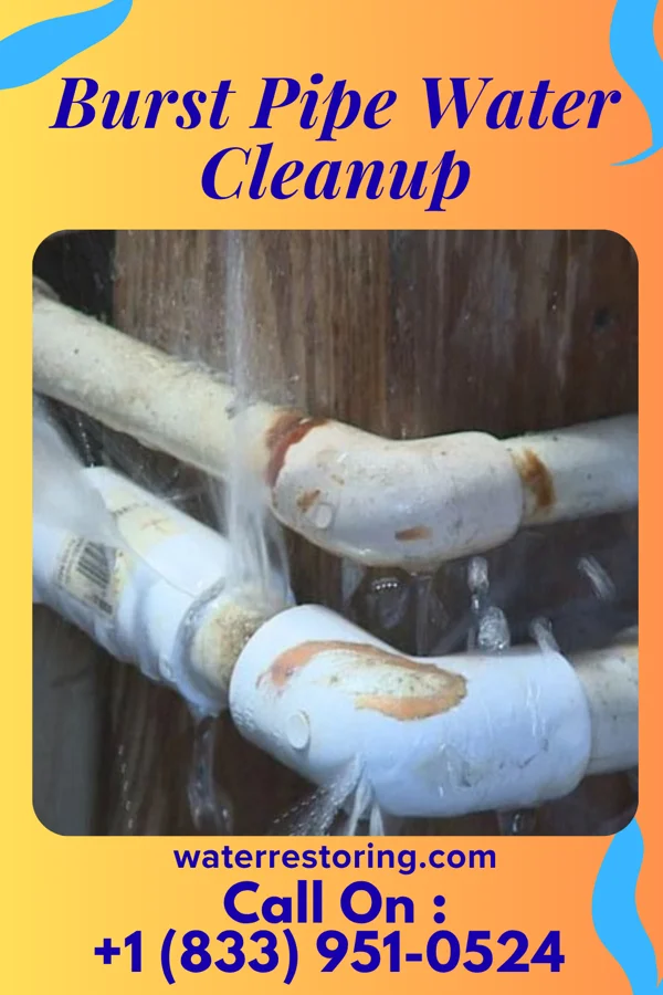 Burst Pipe Water Cleanup in McConnelsville, OH
